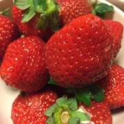 ヒメ日記 2025/03/16 09:14 投稿 あお 湯房 湯島御殿