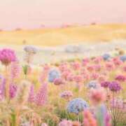 ヒメ日記 2025/03/19 09:40 投稿 あお 湯房 湯島御殿