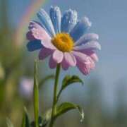 ヒメ日記 2025/03/20 09:23 投稿 あお 湯房 湯島御殿