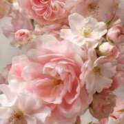 ヒメ日記 2025/03/22 09:21 投稿 あお 湯房 湯島御殿