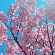 ヒメ日記 2025/04/09 22:48 投稿 あお 湯房 湯島御殿