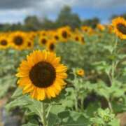 ヒメ日記 2025/05/18 09:16 投稿 あお 湯房 湯島御殿