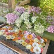 ヒメ日記 2025/06/07 09:00 投稿 あお 湯房 湯島御殿