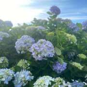 ヒメ日記 2025/06/25 09:29 投稿 あお 湯房 湯島御殿