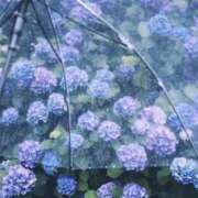 ヒメ日記 2025/06/28 09:40 投稿 あお 湯房 湯島御殿