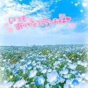 ヒメ日記 2025/07/20 09:35 投稿 あお 湯房 湯島御殿