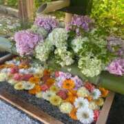 ヒメ日記 2025/07/22 12:03 投稿 あお 湯房 湯島御殿