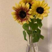 ヒメ日記 2025/07/26 09:30 投稿 あお 湯房 湯島御殿