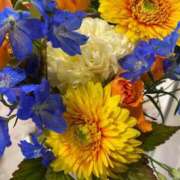 ヒメ日記 2025/07/27 09:28 投稿 あお 湯房 湯島御殿