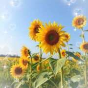 ヒメ日記 2025/08/02 23:11 投稿 あお 湯房 湯島御殿