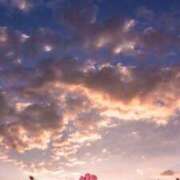 ヒメ日記 2025/08/25 23:33 投稿 あお 湯房 湯島御殿