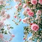 ヒメ日記 2025/11/29 09:37 投稿 あお 湯房 湯島御殿