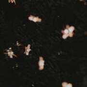 あお ♡:【 🎅🏻🎄.* 】 湯房 湯島御殿