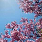 ヒメ日記 2026/03/05 22:06 投稿 あお 湯房 湯島御殿