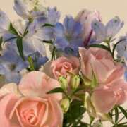 ヒメ日記 2026/03/13 19:30 投稿 あお 湯房 湯島御殿