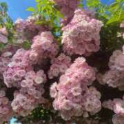 ヒメ日記 2026/03/18 18:45 投稿 あお 湯房 湯島御殿