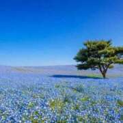 るみ 出勤⋆꙳𝜗𝜚꙳.*‬ 湯房 湯島御殿