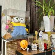 ヒメ日記 2025/02/07 21:03 投稿 きら 湯房 湯島御殿