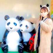 ヒメ日記 2025/03/10 18:24 投稿 マリア シャトーペトラ