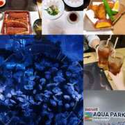 ヒメ日記 2025/06/19 09:33 投稿 マリア シャトーペトラ