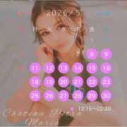 ヒメ日記 2026/03/21 14:05 投稿 マリア シャトーペトラ