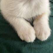 ヒメ日記 2025/10/31 14:46 投稿 はな 西川口マーメイド