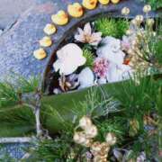 ヒメ日記 2025/01/23 16:15 投稿 真琴 赤坂美療