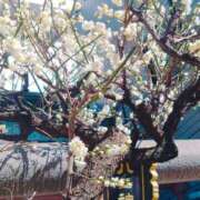 ヒメ日記 2025/02/28 14:41 投稿 真琴 赤坂美療