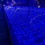 ヒメ日記 2025/11/25 17:59 投稿 来栖　あかり エテルナ京都