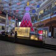 ヒメ日記 2025/11/26 16:28 投稿 来栖　あかり エテルナ京都