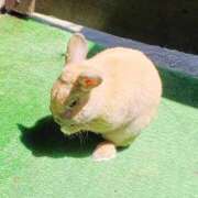 ヒメ日記 2025/01/24 13:54 投稿 みゆう 艶熟妻 京都店