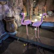 ヒメ日記 2025/02/25 13:43 投稿 みゆう 艶熟妻 京都店