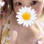 とわ あったかく ニューヨーカー