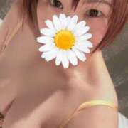 とわ こんなとこからも ニューヨーカー