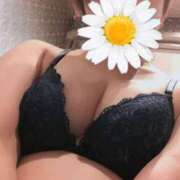 とわ メガネ ニューヨーカー