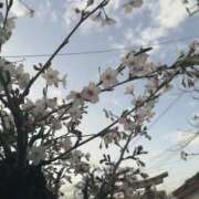 ヒメ日記 2025/04/06 10:57 投稿 えり 妻天 梅田店