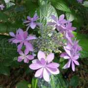 ヒメ日記 2025/07/02 14:15 投稿 えり 妻天 梅田店