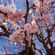 ヒメ日記 2026/04/05 10:20 投稿 えり 妻天 梅田店