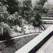 ヒメ日記 2025/03/19 09:50 投稿 あかね ウルトラグレイス24