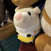 ヒメ日記 2025/04/26 17:40 投稿 片平りん 人妻家 川越