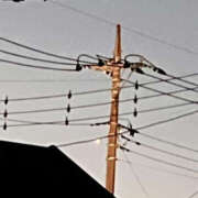 ヒメ日記 2024/12/26 07:46 投稿 真帆 TSUBAKI(つばき)土浦店