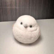 ヒメ日記 2026/02/02 08:23 投稿 真帆 TSUBAKI(つばき)土浦店