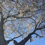 ヒメ日記 2025/04/06 22:13 投稿 葉山くみ 人妻家 鶴ヶ島・入間