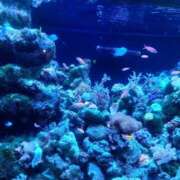 ヒメ日記 2025/07/16 12:12 投稿 葉山くみ 人妻家 鶴ヶ島・入間