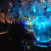 ヒメ日記 2025/07/28 09:13 投稿 葉山くみ 人妻家 鶴ヶ島・入間