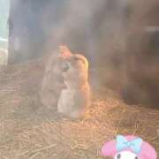 ヒメ日記 2025/09/18 21:32 投稿 葉山くみ 人妻家 鶴ヶ島・入間