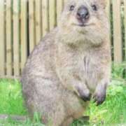 ヒメ日記 2025/11/28 22:00 投稿 葉山くみ 人妻家 鶴ヶ島・入間