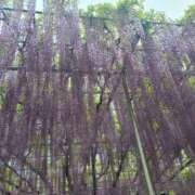 ヒメ日記 2025/07/28 21:15 投稿 葉山くみ 人妻家 川越