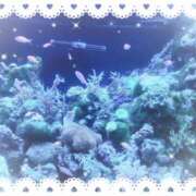 ヒメ日記 2025/08/04 13:57 投稿 葉山くみ 人妻家 川越