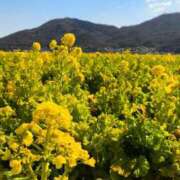 ヒメ日記 2025/02/22 15:28 投稿 ★みか★ 秘密の電停  岡山店（カサブランカグループ）